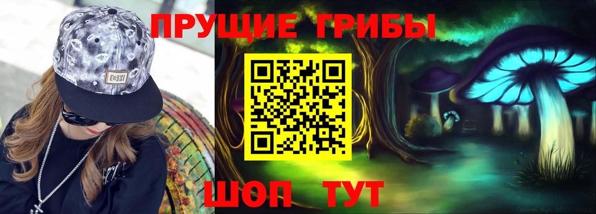 Кохма  Псилоцибиновые грибы мицелий  купить наркотики цена  Вход с VPN  Псилоцибиновые грибы MAGIC MUSHROOMS 
