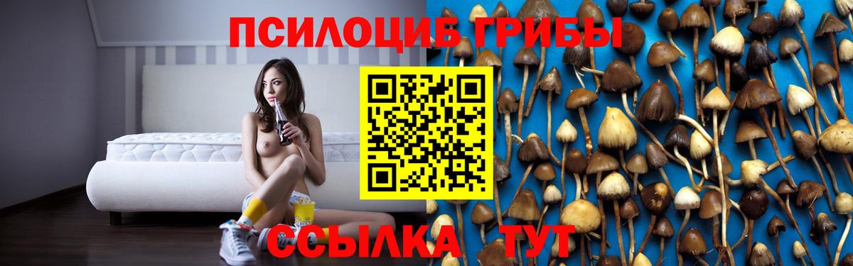 Псилоцибиновые грибы Cubensis Кохма